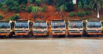 Frota ônibus Amélia